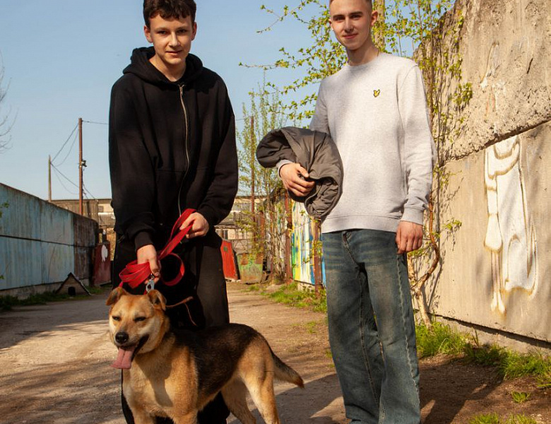Время с пользой