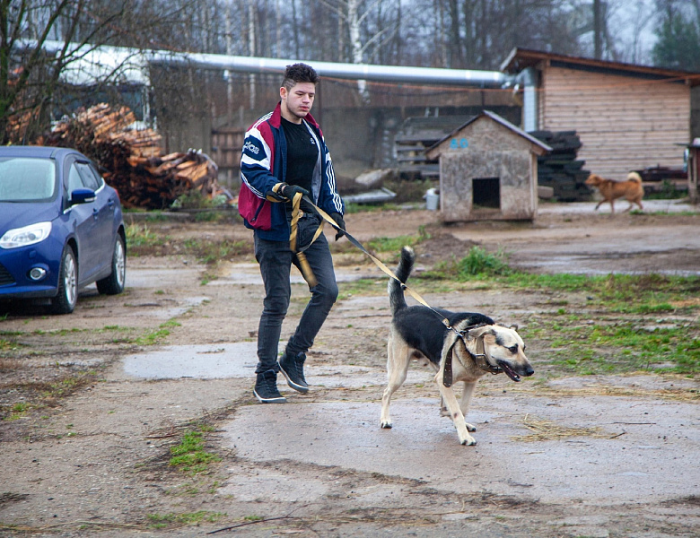 Посетили приют "Лесопилка"